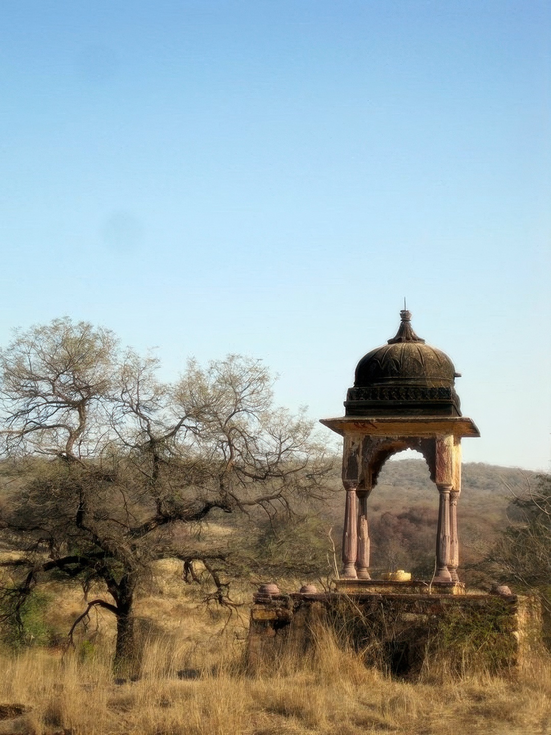 Best Time to Visit Ranthambore: A Seasonal Guide